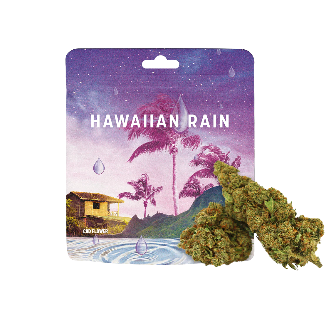 HAWAIIN RAIN London Pound Minntz x Jealousy