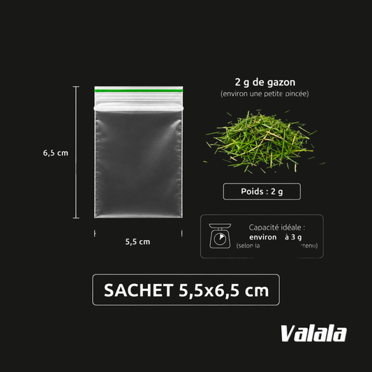 Sachets Zip 5,5x6,5 cm 100 Microns x100