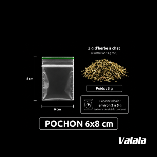 Sachets Zip 6x8 cm 100 Microns x100