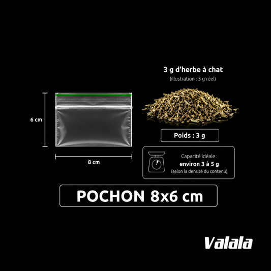 Sachets Zip 8x6 cm 100 Microns x100