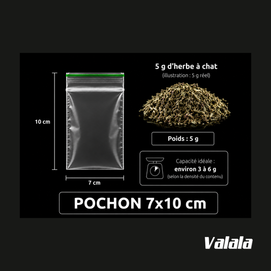 Sachets Zip 7x10 cm 100 Microns x100