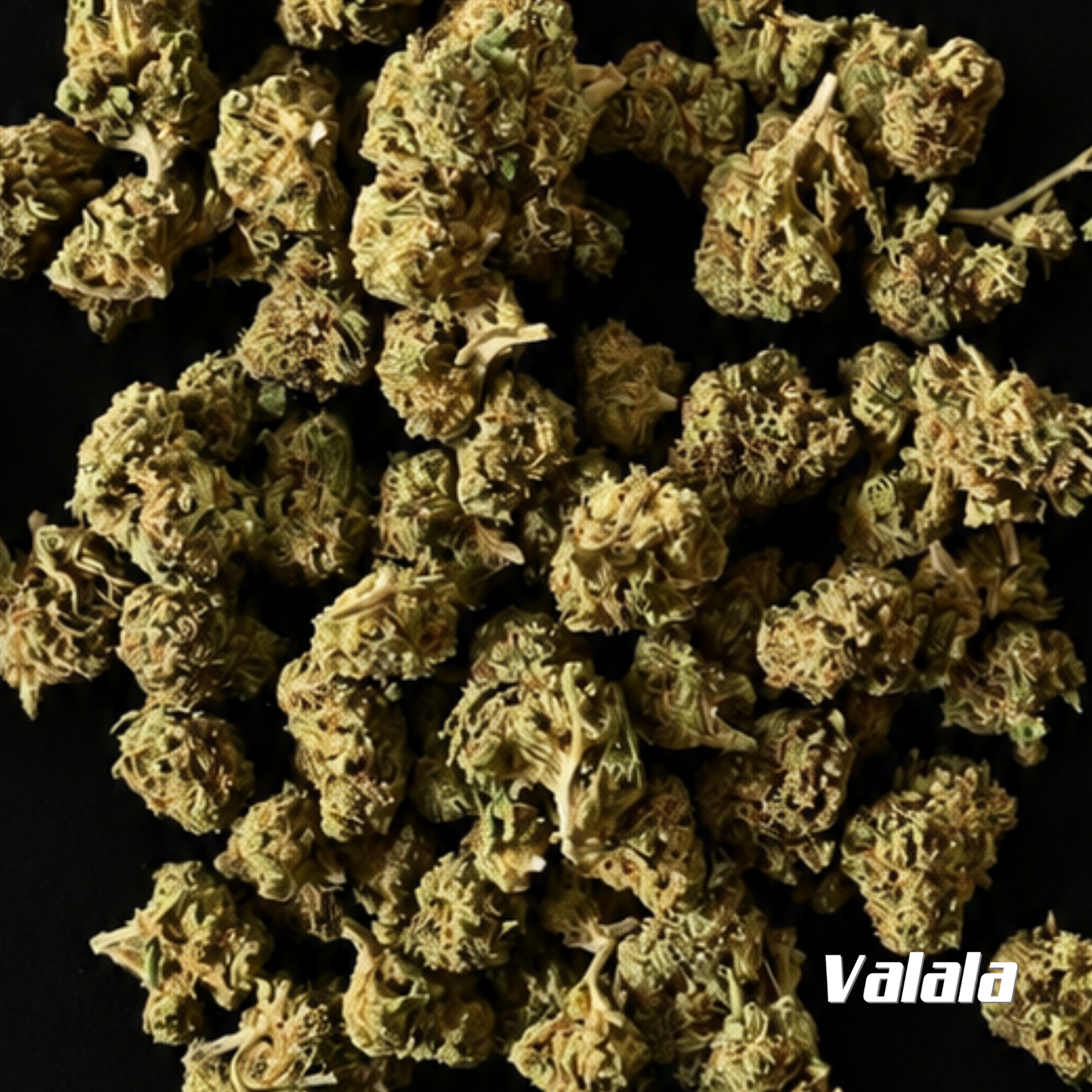 Double Cinnamon (5g)