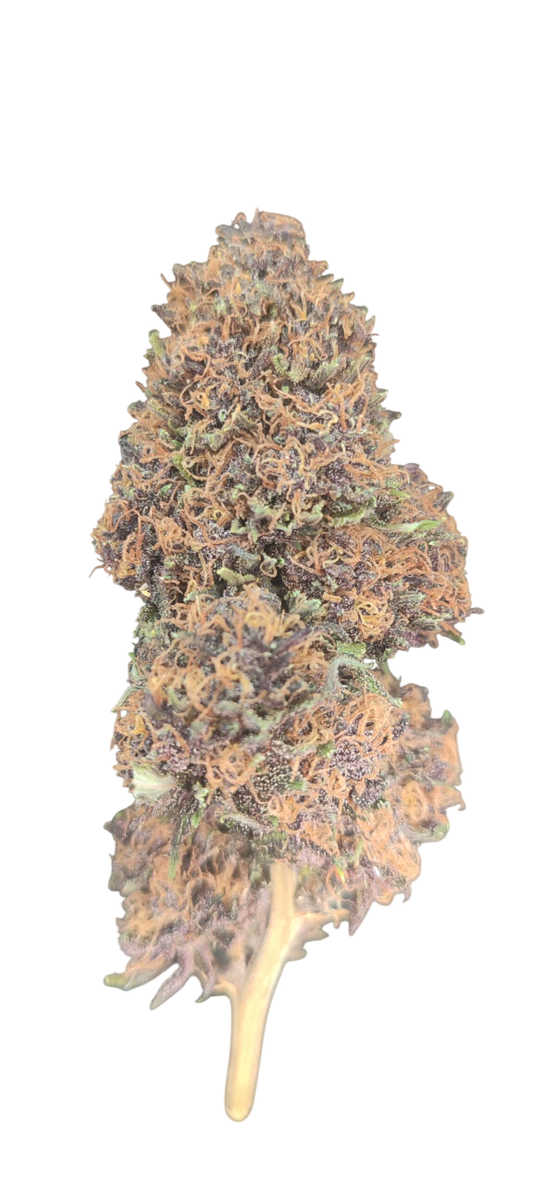 PLATINUM PANTHER