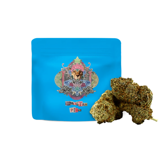 CHEETAH PISS Lemonnade x Gelato 42 x LPC 97 Prix régulier
