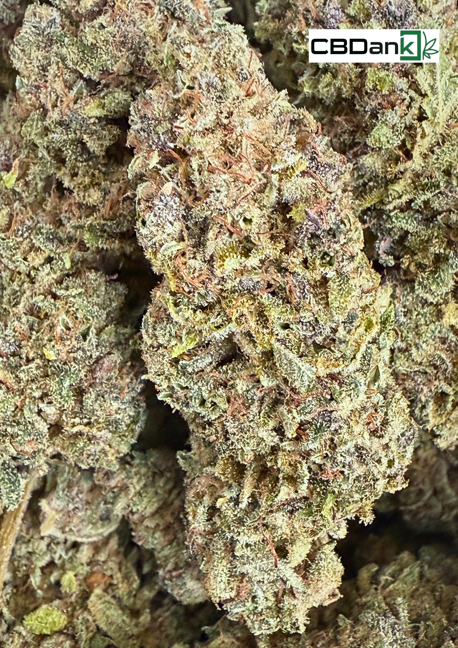 Buds Zenythis CBD France