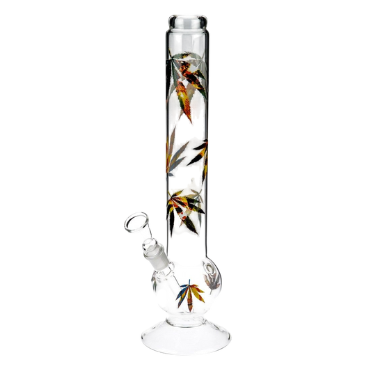 BANG EN VERRE MULTILEAF BOUNCER